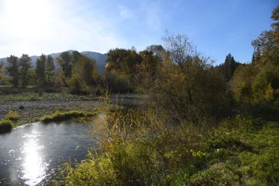 DSC_6532 (Large).JPG